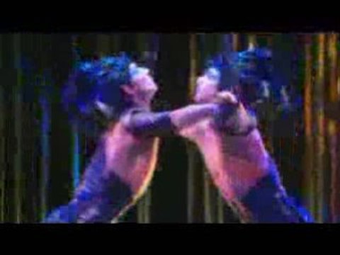 Aerial straps - varekai (cirque du soleil)