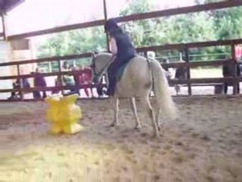 Jeux poneys 4ème manche