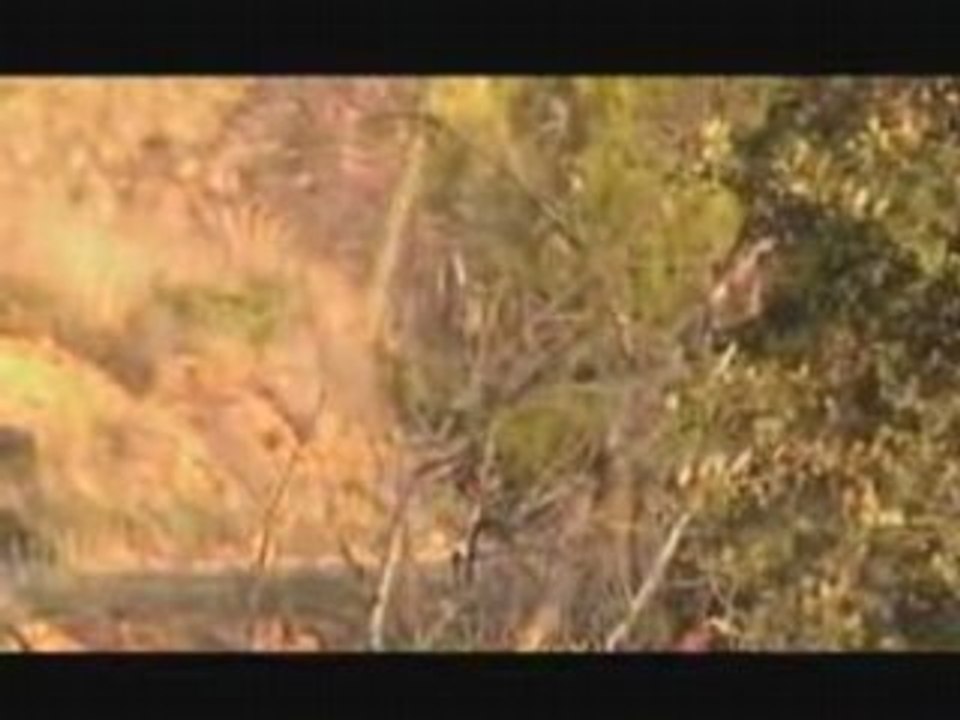 Rallye du Haute Provence 208