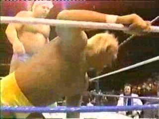 Hulk hogan vs dino bravo
