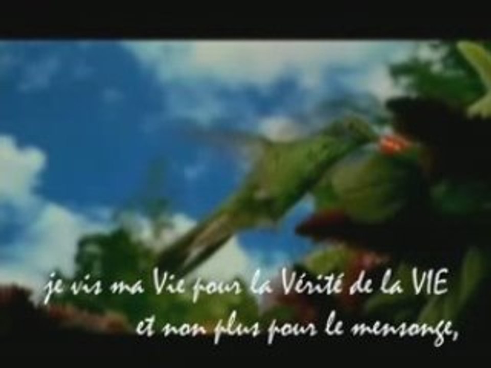 RE POSITIV VIBRATION.mpg