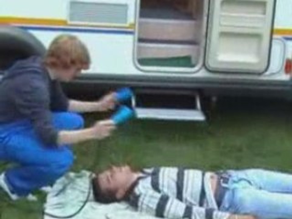 Löwenzahn - Wiederbelebung