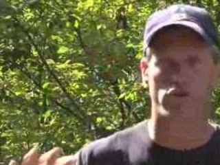 Walk The Way Episode 147: Just Because We Can