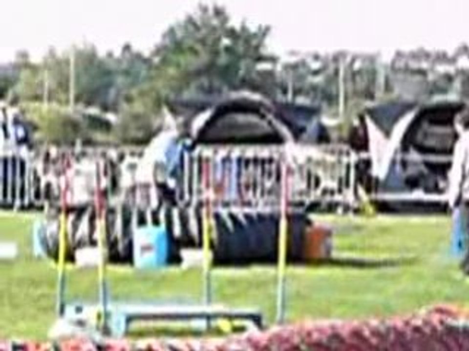 Bulleagility1