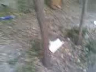 Kral Magnum 5.5 20 Metre.