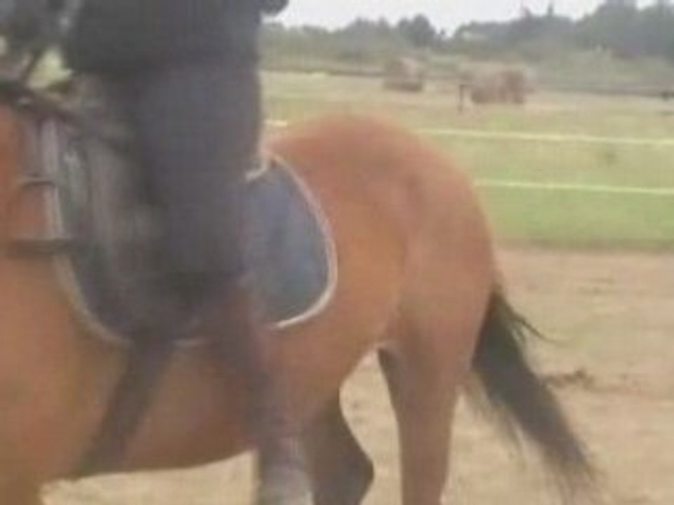 ségo flo c t tro!!!