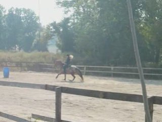 Fete du cheval barel race celia duc