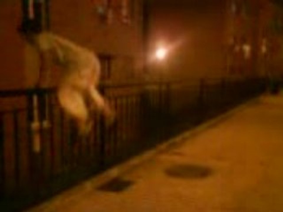 parkour principiante