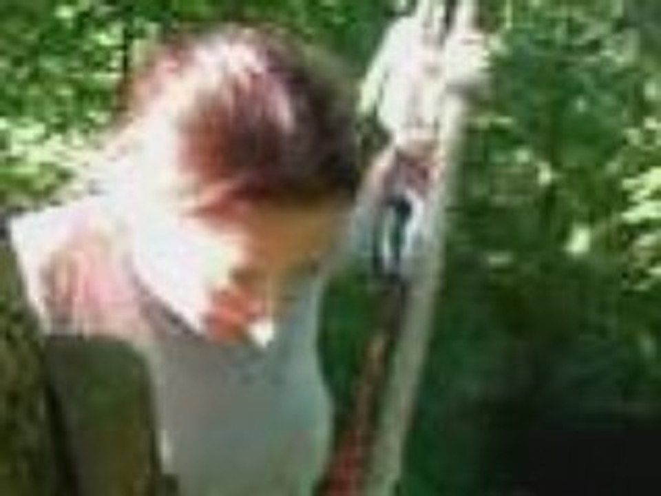 Anestel accro-branche