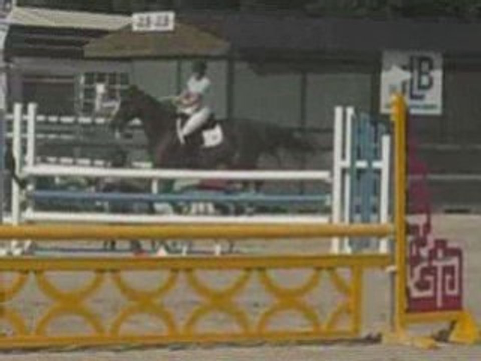 Open 2008