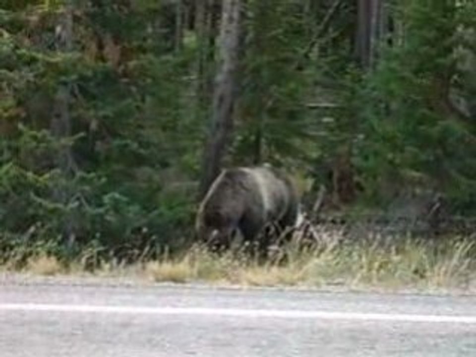 ours usa