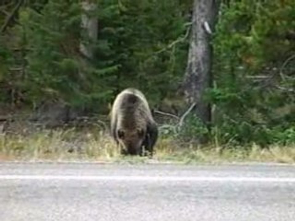 ours usa