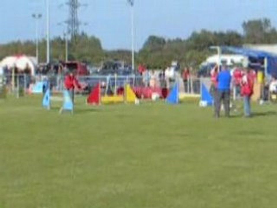 Agility grande syntheG S tiféne jumping 2008 018