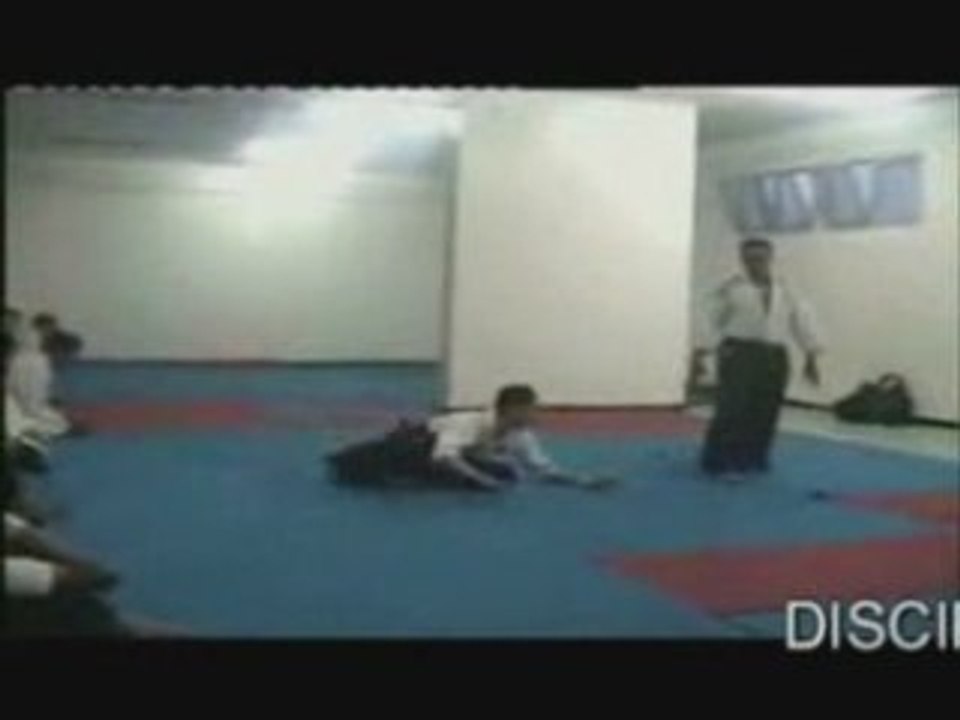 aikido : demonstration de quelques techniques 6/2008
