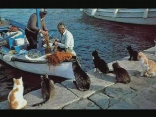 Tierbilder Wunderschön