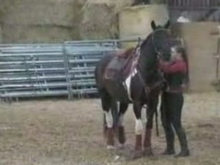 Spectacle équestre lorelei