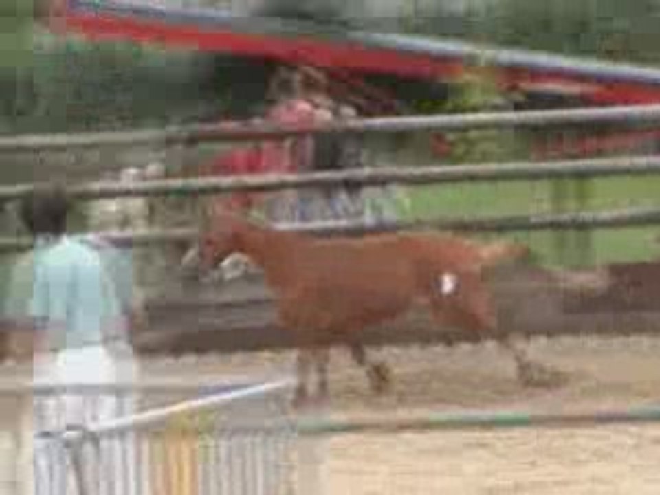 Ravenn Saut en lib 3ans