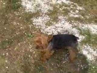 Sam apres anesthesie