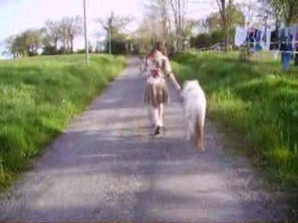 Divina Stela Ranch (Elevage Chevaux Miniatures).