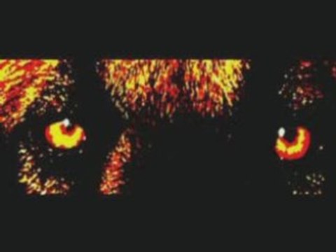 Agility Back Véga et Crunch