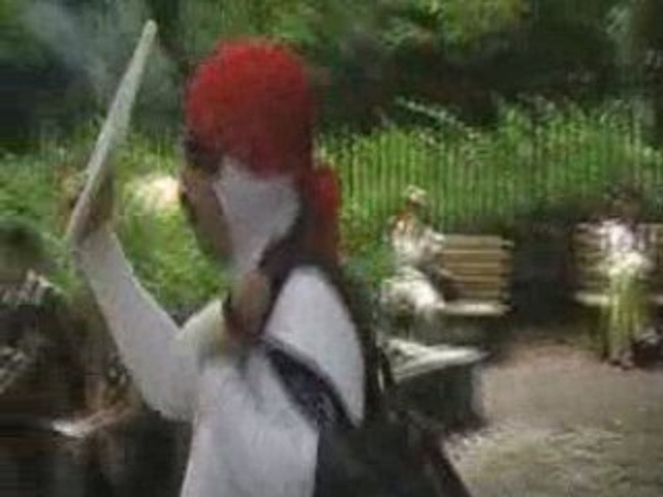 Yoyogi park Harajuku Tokyo