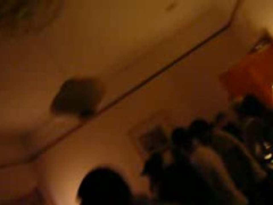 Flatparty @ forrest road - musique 2