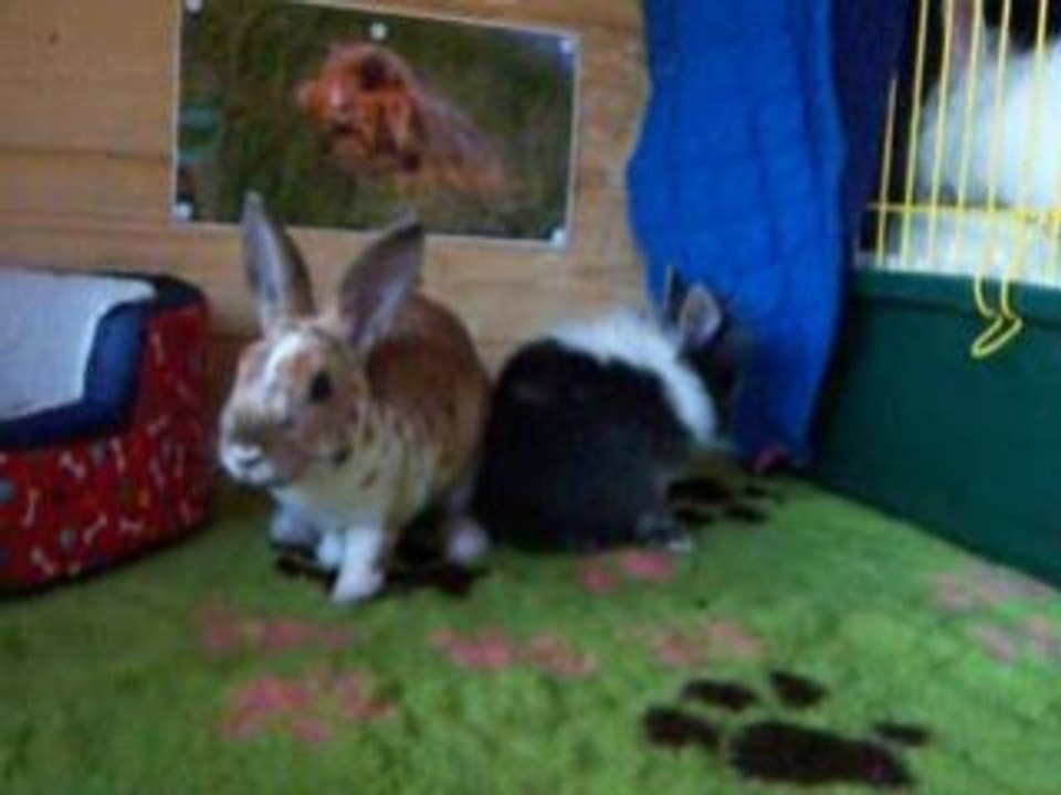 100_2506mon p'tit paradis