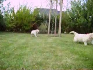 Notre premier sprint!