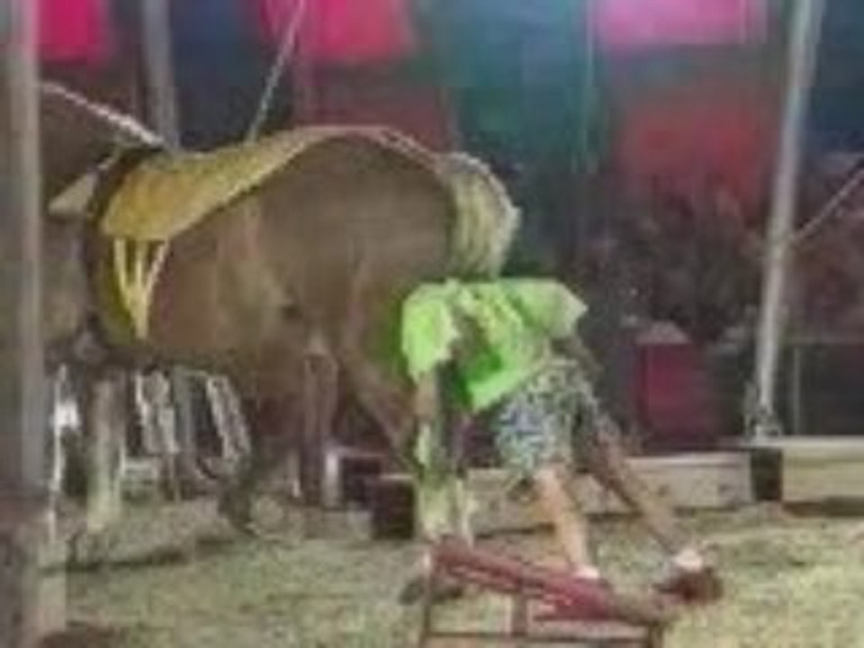 Incidente al circo
