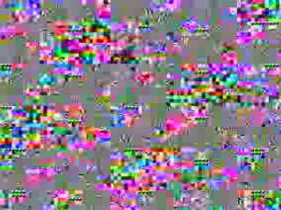 Ineum Consulting - Animation Powerday 2008 (UK version)