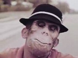 Hilarious Ape Suit Kids Getting in Bike Accidents – Crazy!