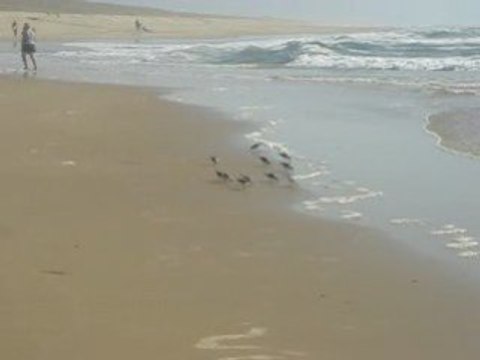 LES VACANCES SONT TERMINEES