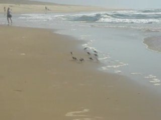 LES VACANCES SONT TERMINEES