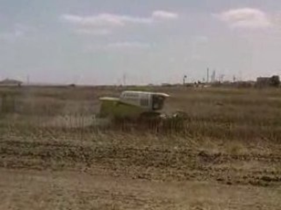 CLAAS MEDION 340 HARVESTING THE SUNFLOWER 2008 SEASON P1