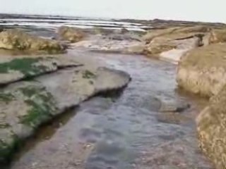 La beauté sauvage du Noirda