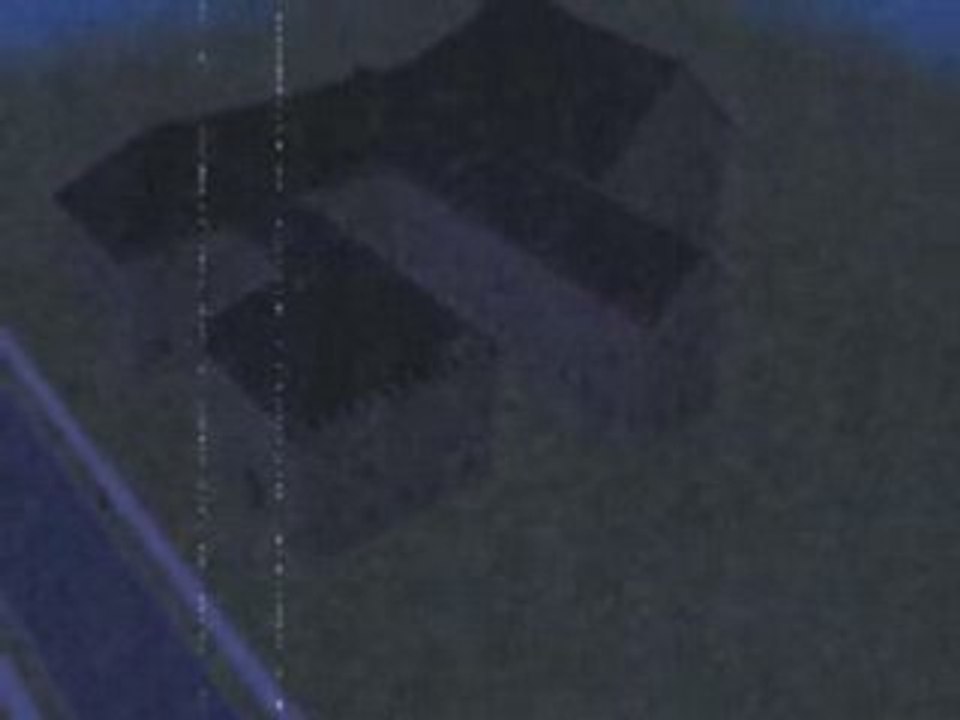 Sims-attack