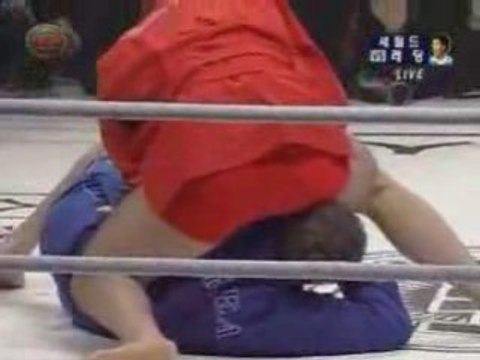 Fedor Emelianenko vs Vladimir Voronov