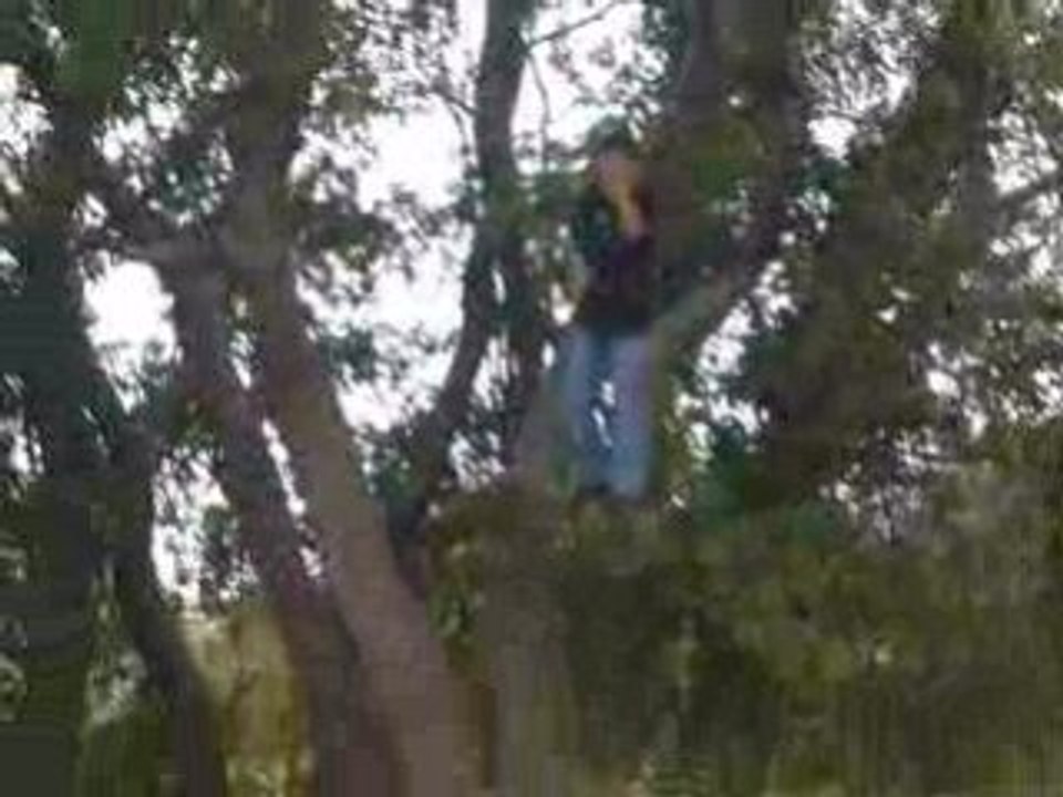 Tarzan 6