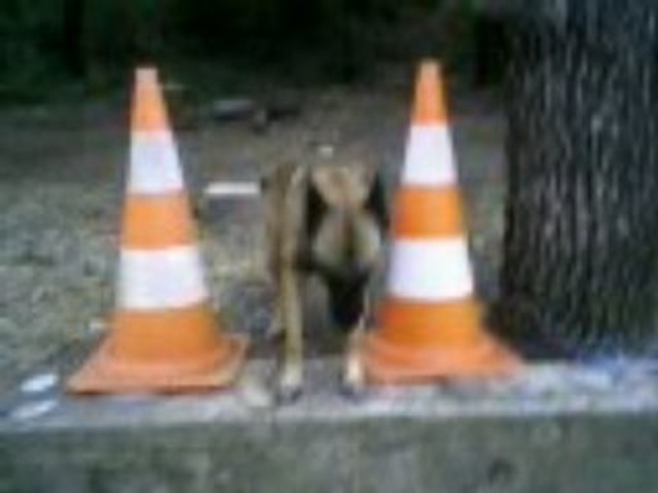 Vidéo-0007_1