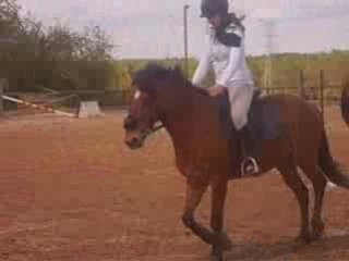 IGLOO ET MOI EN PLAT