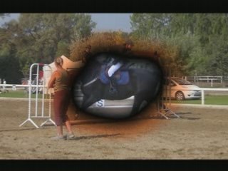 Ecuries du lion dor 21 septembre 2008