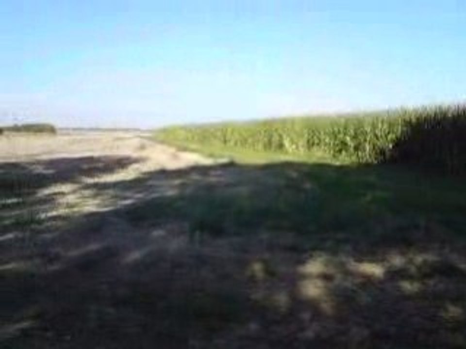 125 CR VS KTM 250 SX