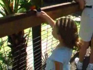 Au Zoo de Melbourne...