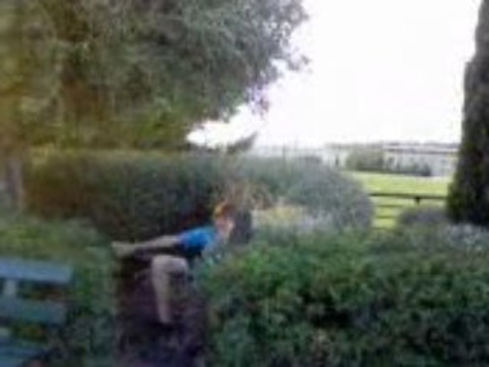 MOV00001