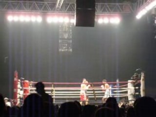 Boxeo en Panama
