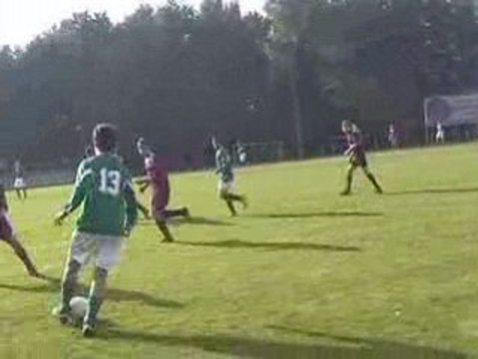 Viversel-ham