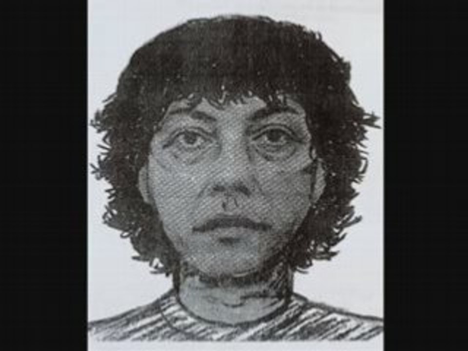 Stéphane Moitoiret & Noella Hego, Les Assassins De Valentin