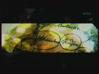 Les mystères du cerveau