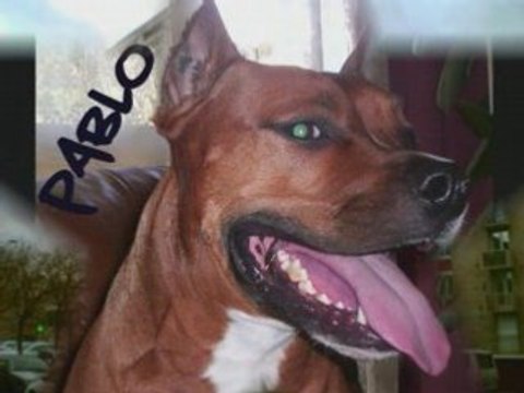 Creil le quartier mes potes