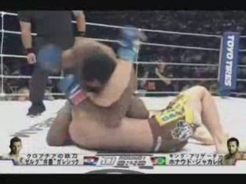 Ronaldo Jacare Souza vs Zelg Galesic DREAM 6